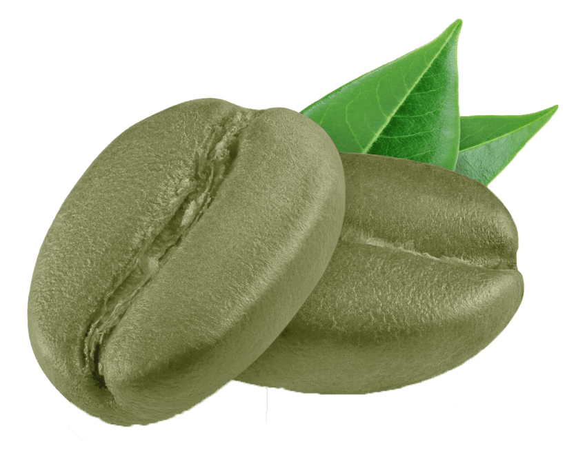 Green Coffee Bean