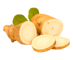 Ginseng Extract